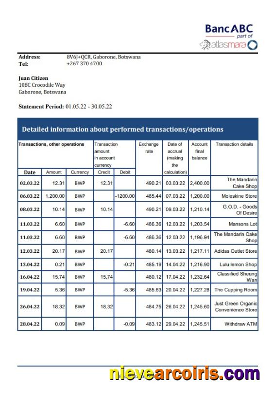 Botswana Bank ABC bank statement
